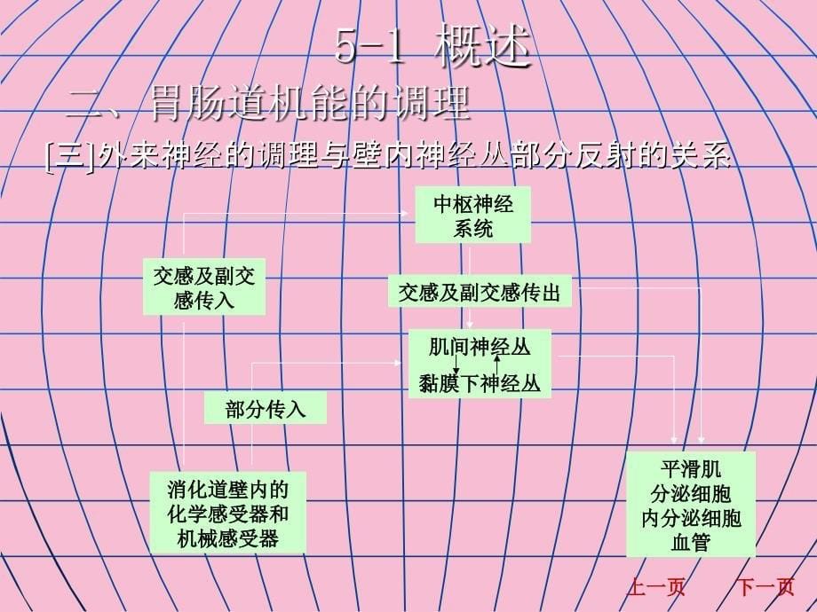 生理学消化吸收ppt课件_第5页