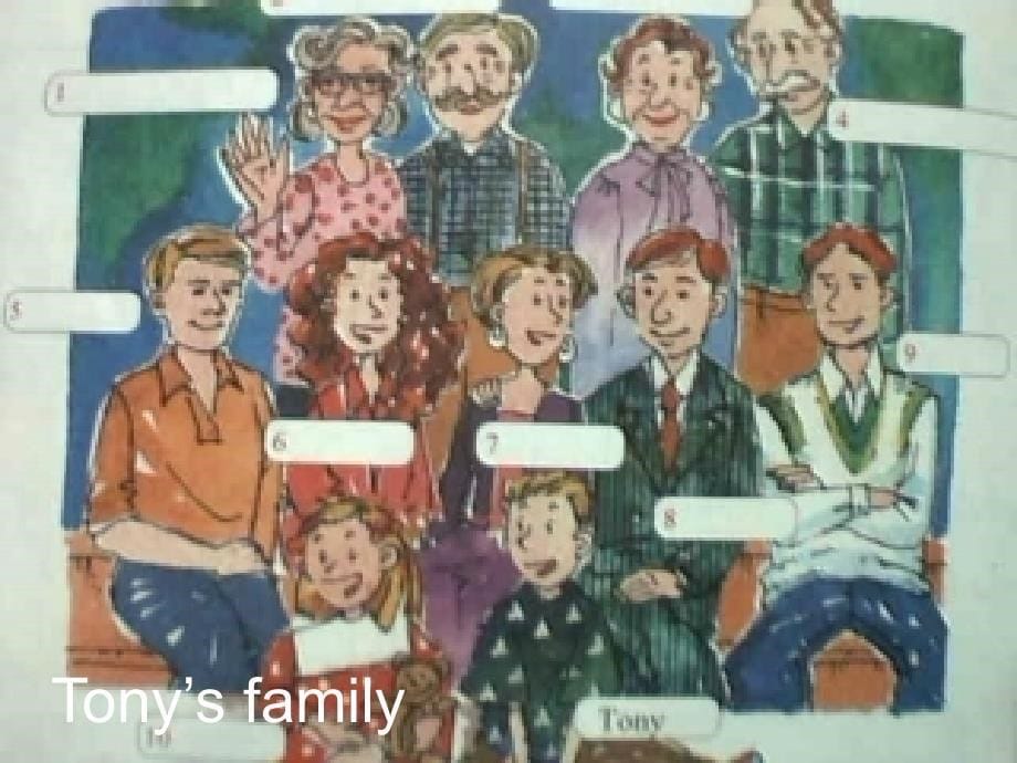 七年级课件MYfamily_第5页