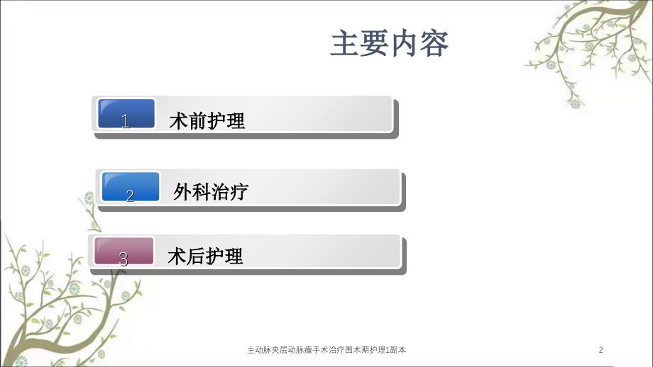 主动脉夹层动脉瘤手术治疗围术期护理1副本课件_第2页