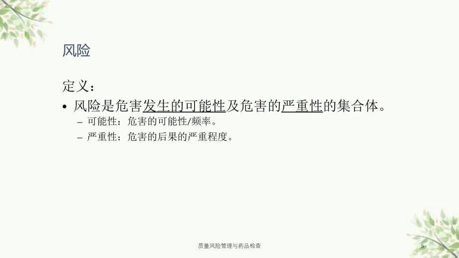 质量风险管理与药品检查课件_第5页