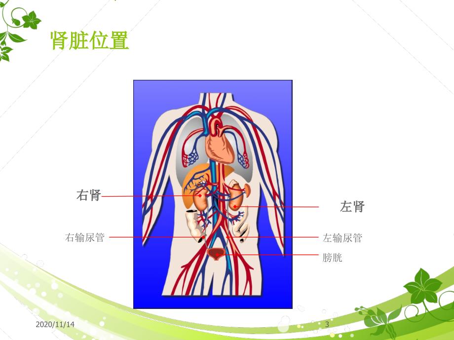 透析基础知识课件_第3页