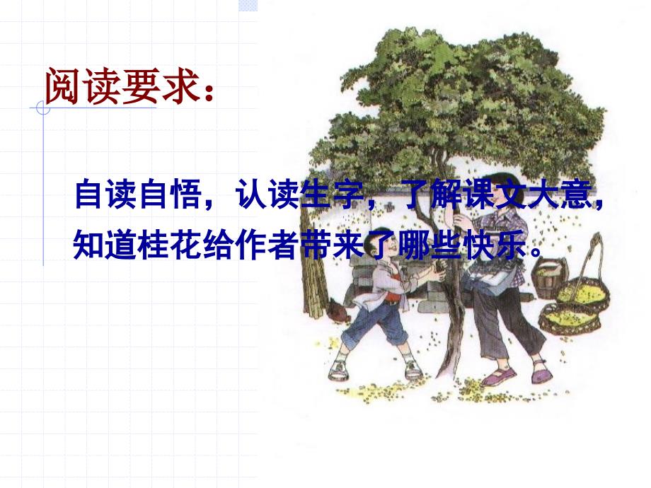 桂花雨人教版小语五上.ppt_第4页