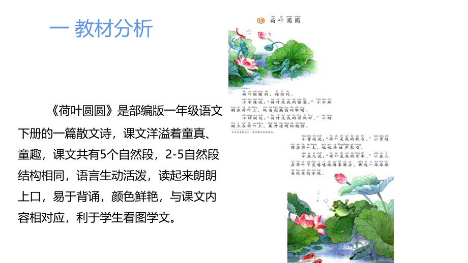 部编版一年级下册语文 《荷叶圆圆》说课课件_第3页