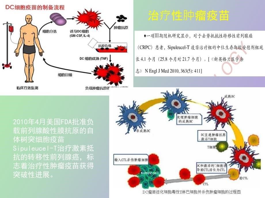 肿瘤的免疫治疗和疗效评价_第5页