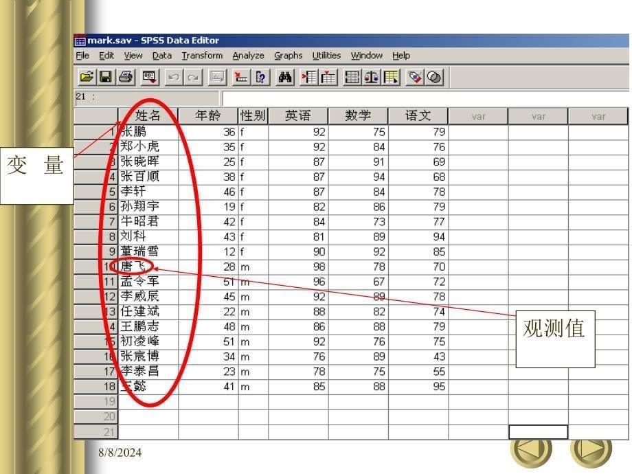 数据统计分析与实践SPSSforWindows_第5页