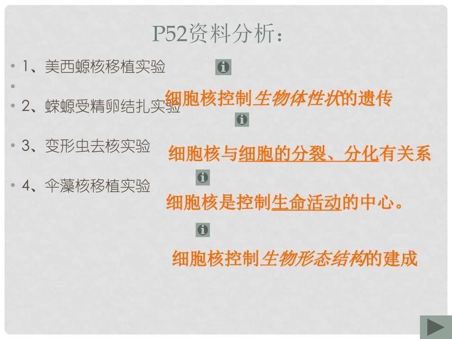 河北省南宫市高中生物 第三章 细胞的基本结构 3.3 细胞核课件 新人教版必修1_第5页