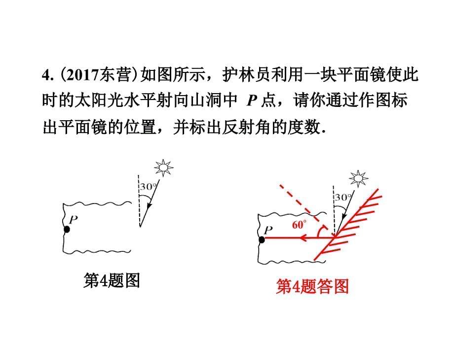 湖南中考物理总复习课件专题三作图题_第5页