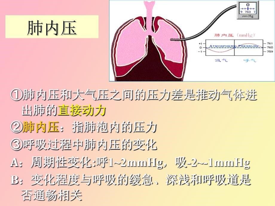 生理学呼吸生理_第5页