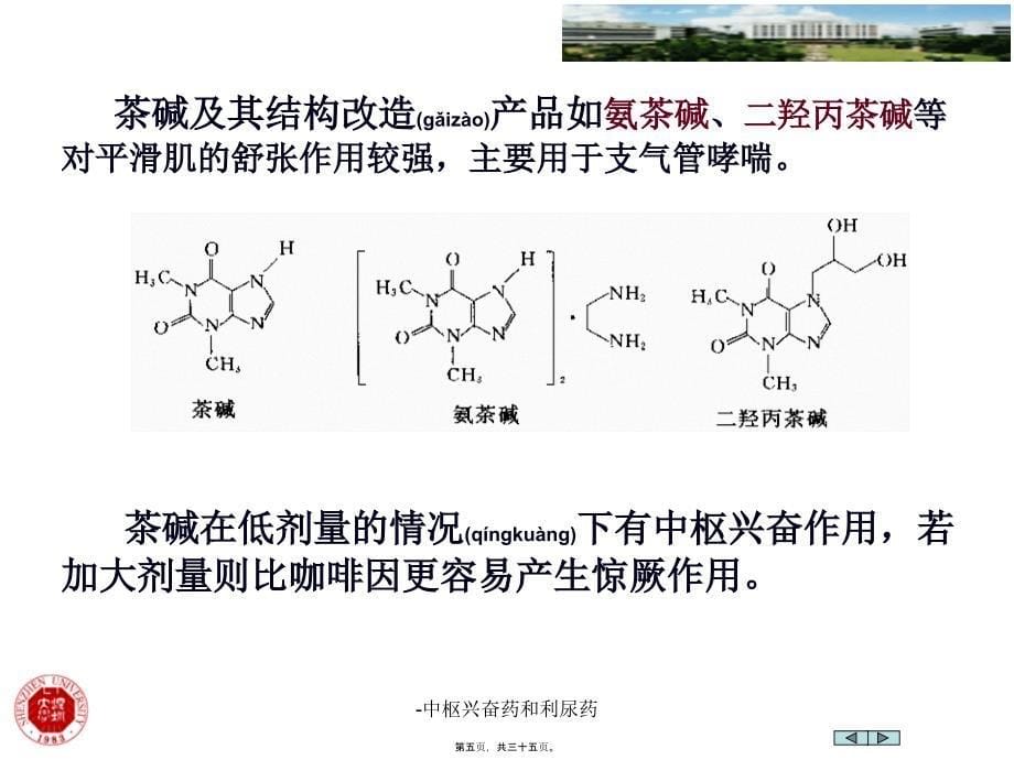 中枢兴奋药和利尿药课件_第5页