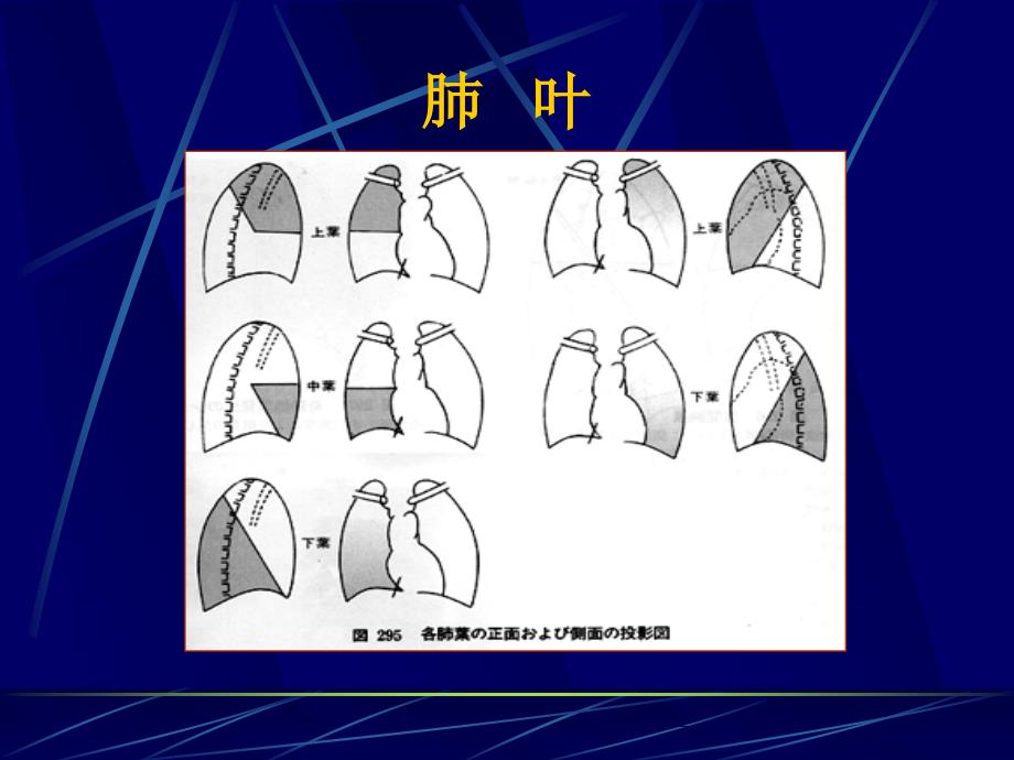 《执业医师X线读》PPT课件_第4页