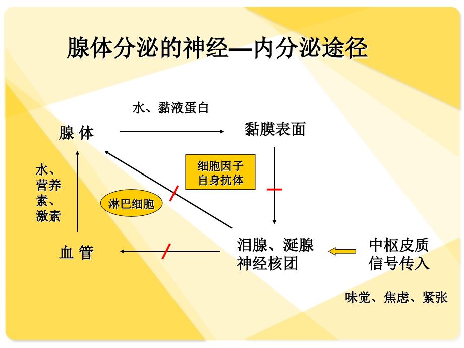 干燥综合征的若干问题_第4页