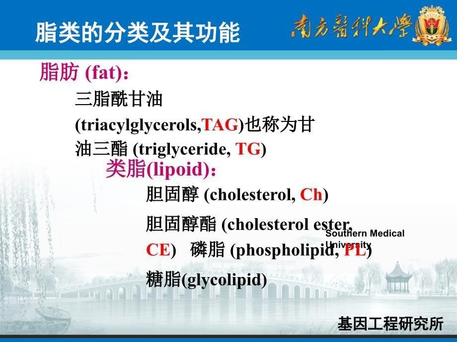 生物化学课件：脂类代谢(一)_第5页