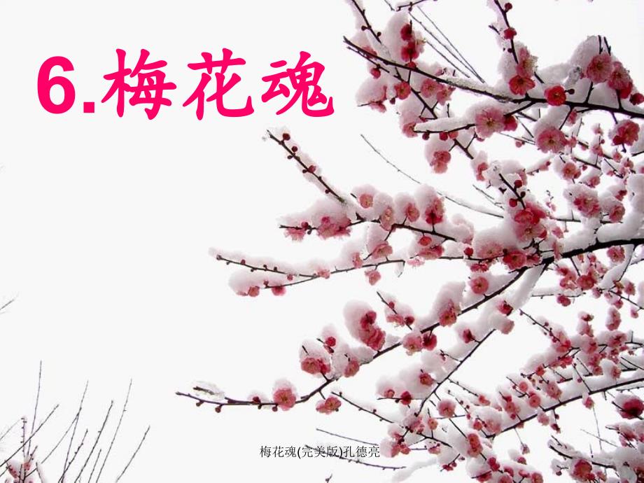 梅花魂完美版孔德亮_第1页