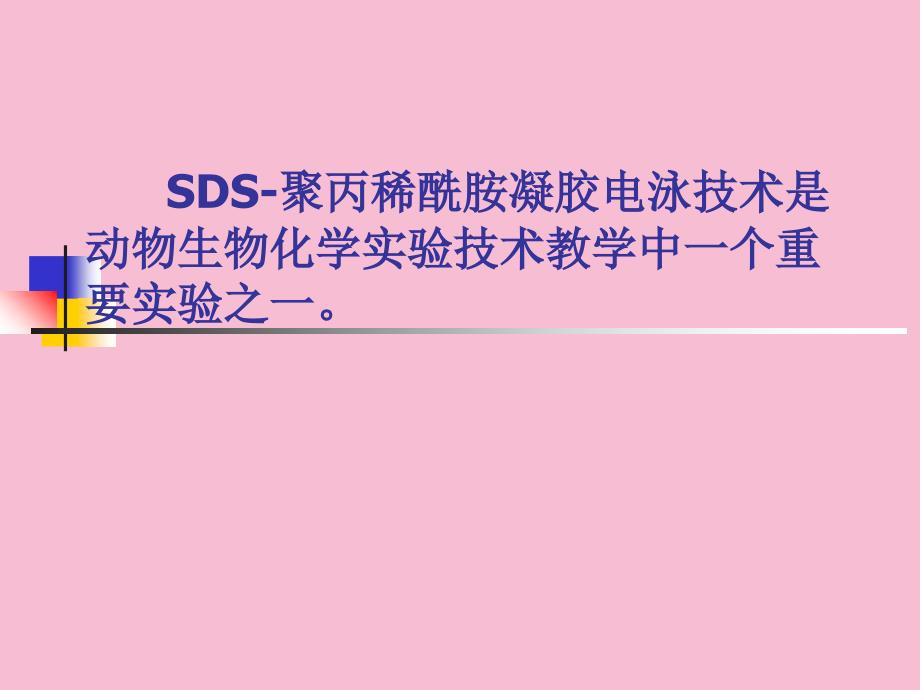 SDS聚丙烯酰胺凝胶电泳测定蛋白质分子量ppt课件_第2页