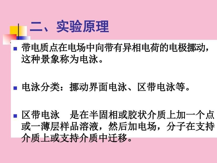 SDS聚丙烯酰胺凝胶电泳测定蛋白质分子量ppt课件_第5页