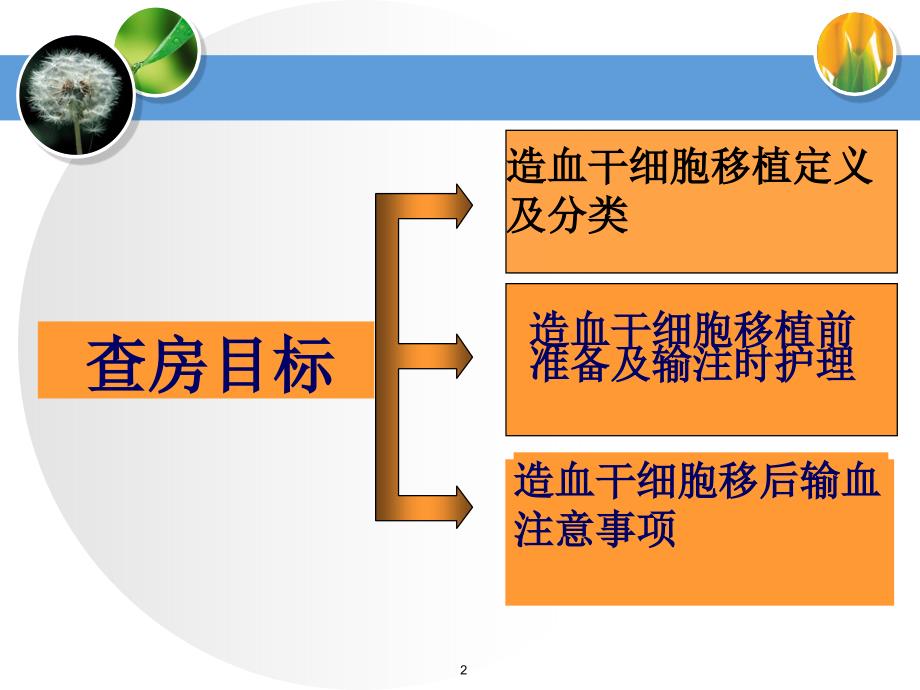 造血干细胞移植护理ppt课件_第2页