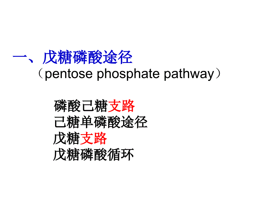 戊糖途径PPT课件_第2页