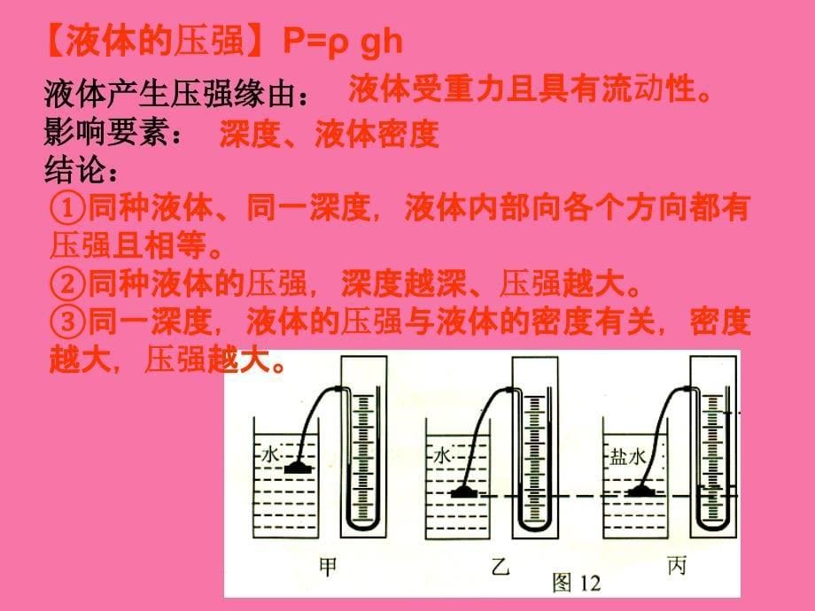 期末实验复习PPT课件_第5页