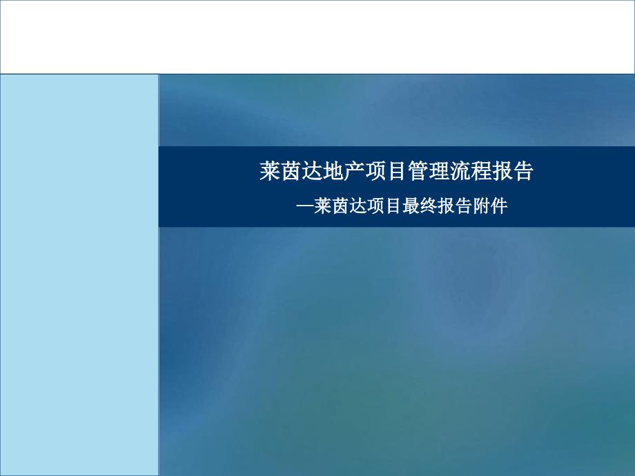 莱茵达集团地产项目管理流程报告_第1页