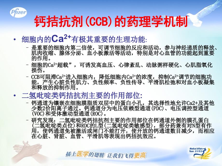 络活喜-从药代动力学看络活喜与其它CCB的区别.ppt_第4页