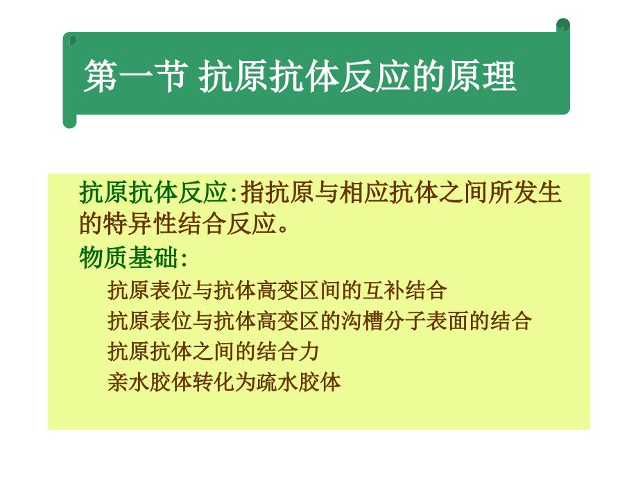 抗原抗体反应多媒体_第4页