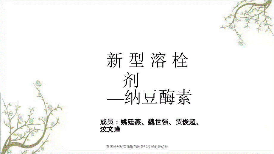 型溶栓剂纳豆激酶的制备和发展前景优秀_第1页
