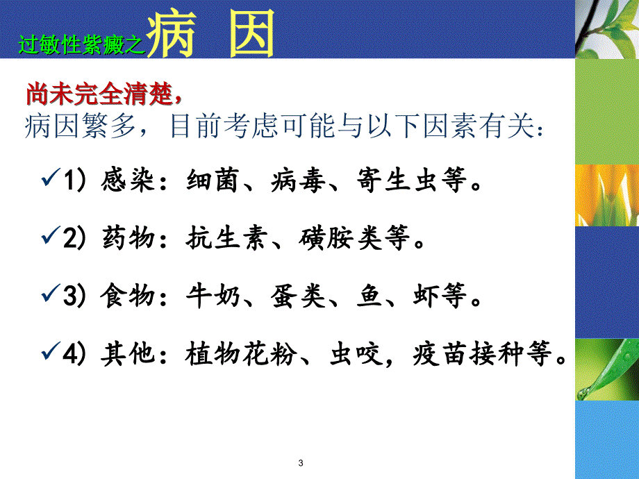 过敏性紫癜性肾炎课件_第3页