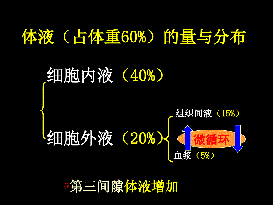 新水电酸碱3学时.ppt_第4页