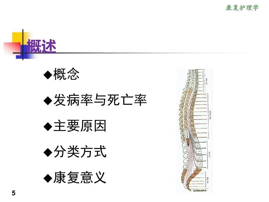 康复护理学6章常见神经疾病患者康复护理第四节脊髓损伤_第5页