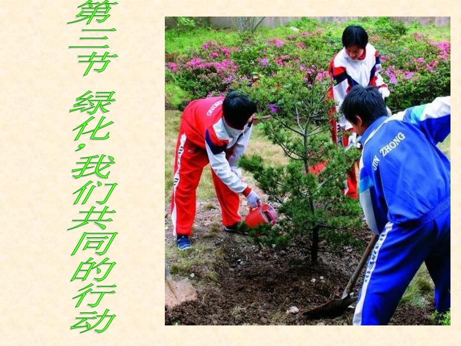 七年级生物植被破坏与环境恶化_第1页