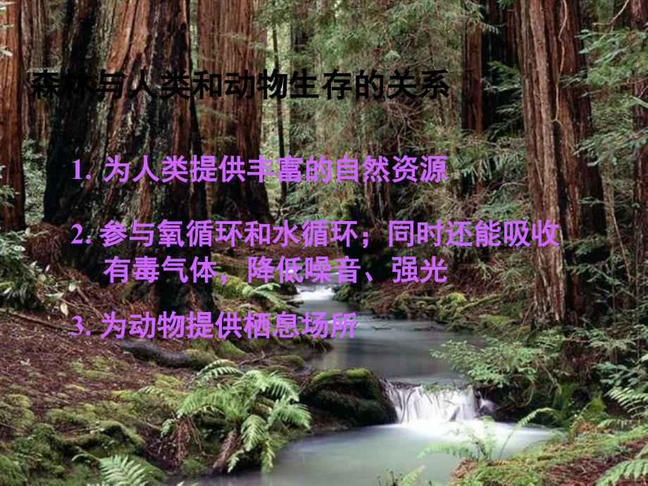 七年级生物植被破坏与环境恶化_第3页