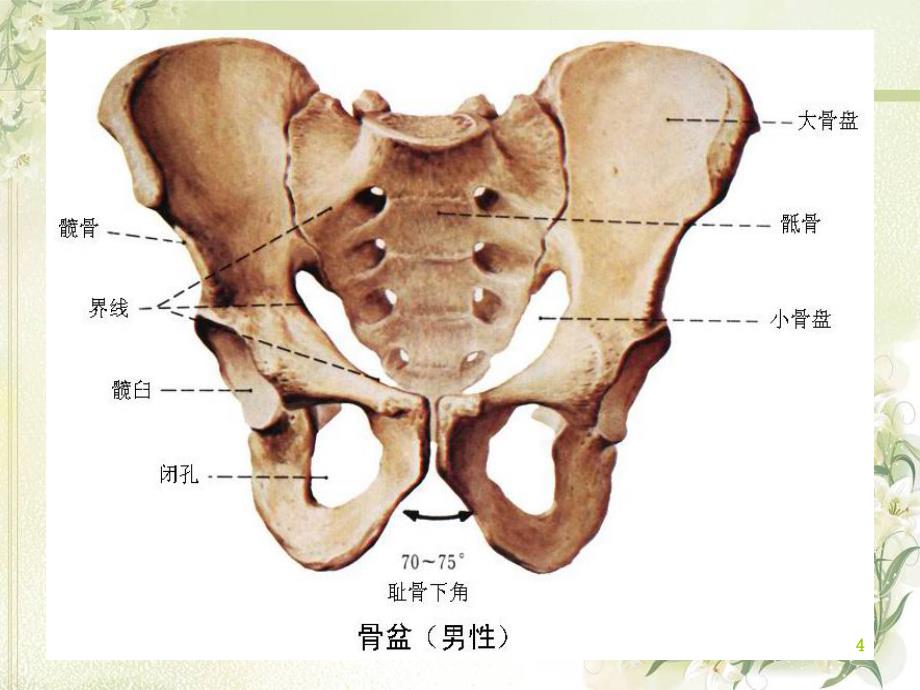 骨盆骨折的并发症护理ppt课件.ppt_第4页