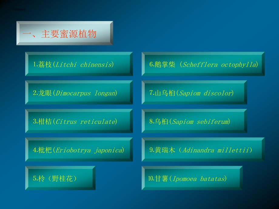 《福建蜜粉源植物》PPT课件.ppt_第2页