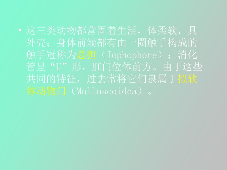 苔藓动物门腕足动物门箒虫动物门_第2页