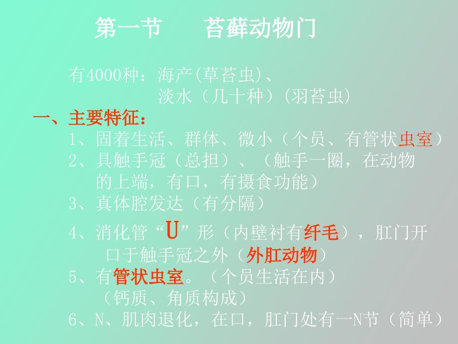 苔藓动物门腕足动物门箒虫动物门_第4页