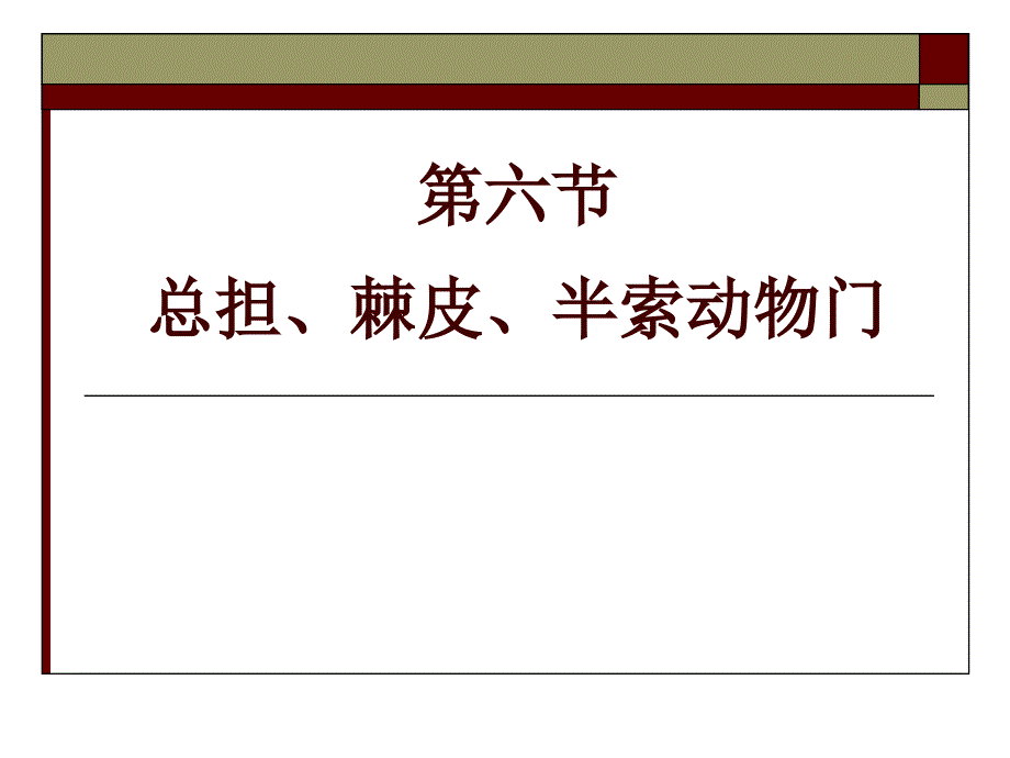 总担、棘皮、半索动物门-1上课用_第2页