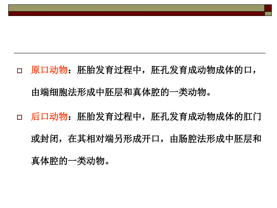 总担、棘皮、半索动物门-1上课用_第3页