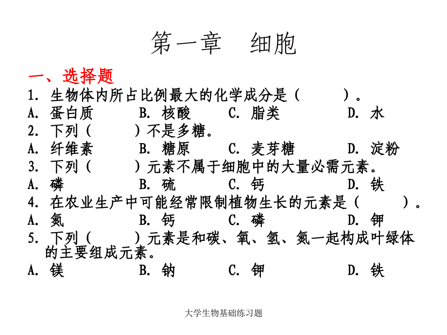 大学生物基础练习题课件_第4页