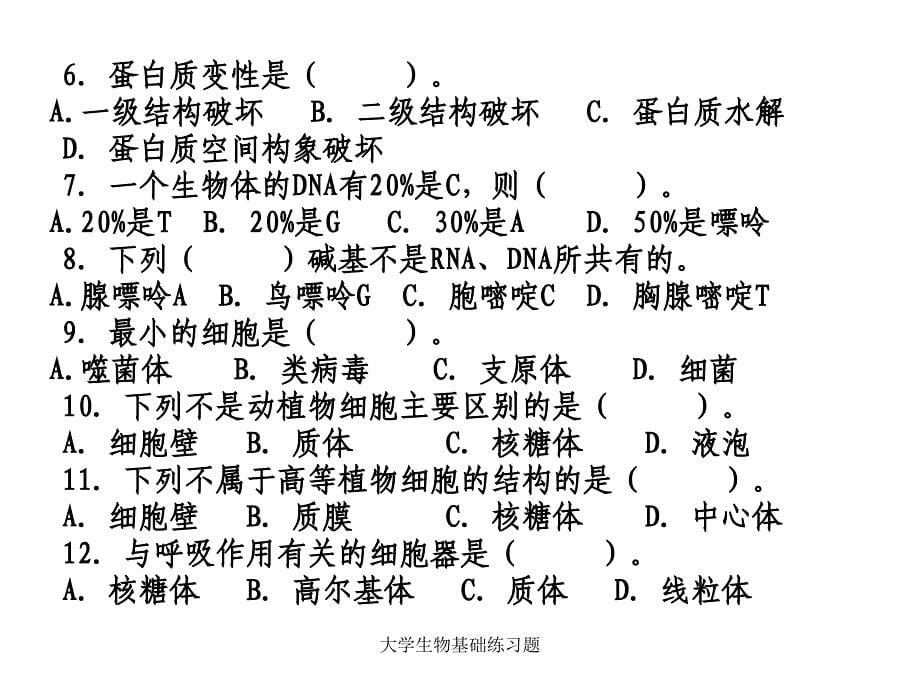 大学生物基础练习题课件_第5页