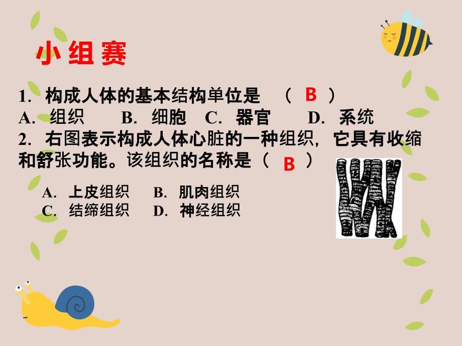 八年级生物第一学期试验本第1章第一节人体是怎样构成的第三课时课件上海版课件_第2页