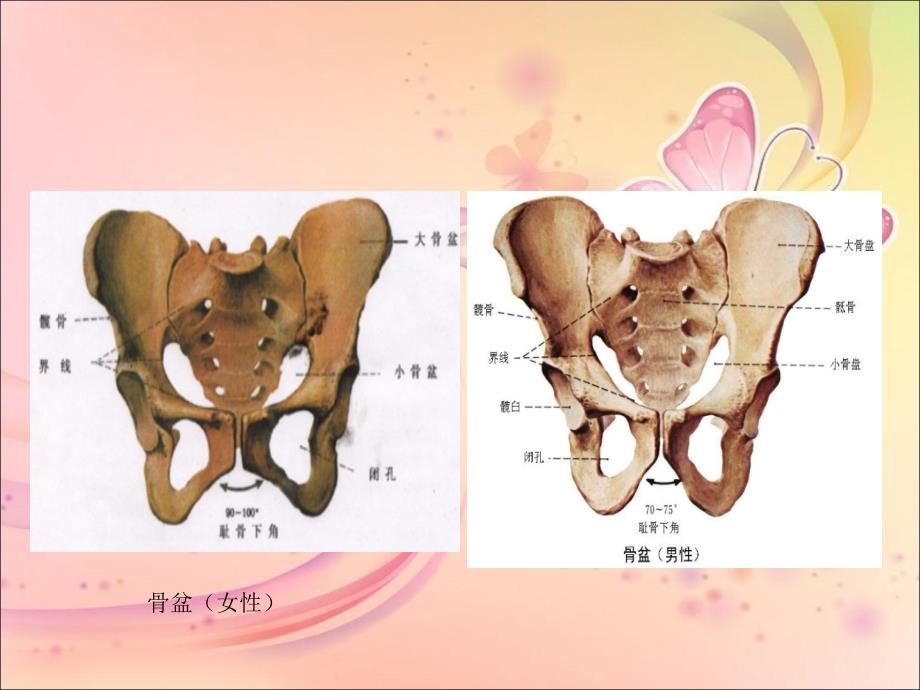 八月份骨盆骨折护理查房_第4页