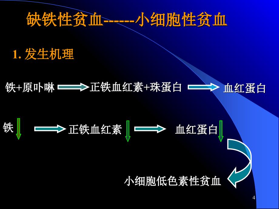 第35章抗贫血药PPT优秀课件_第4页