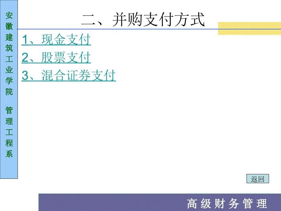 高级财务管理及企业并购运作管理_第5页