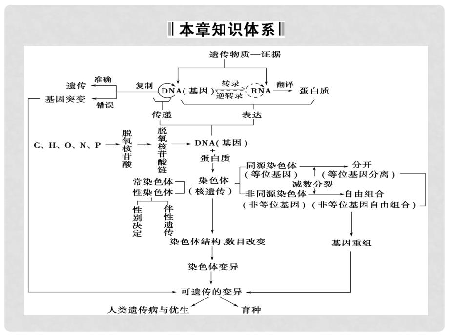 高中生物 章末整合四同步课件 苏教版必修2_第2页