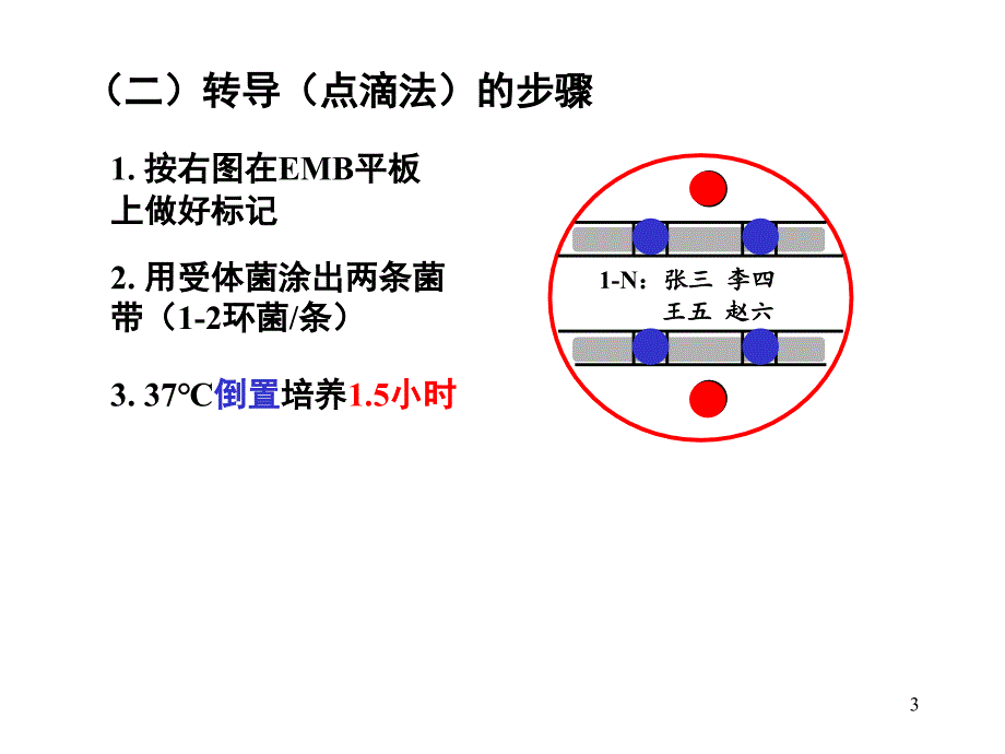 上海交通大学遗传学实验PPT实验七细菌转导_第3页