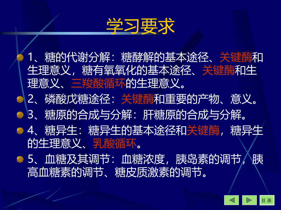 糖代谢-课件#上课课件_第4页