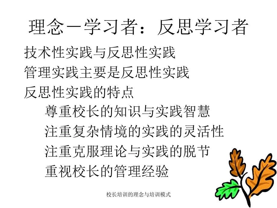 校长培训的理念与培训模式课件_第5页