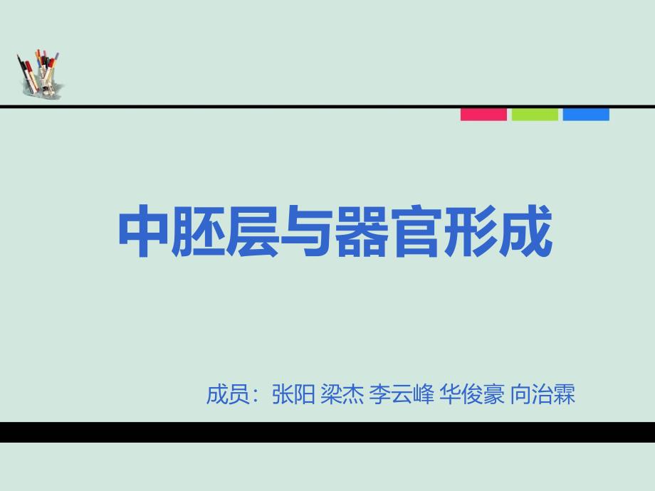 中胚层与器官形成课件_第1页