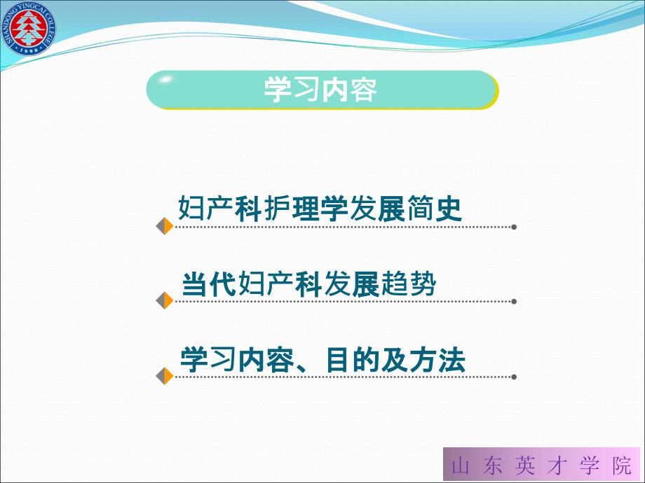 妇产科护理学的内容、学习目的和方法_第3页