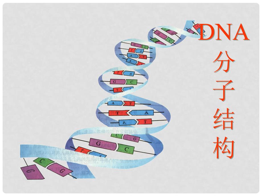 内蒙古乌审旗无定河镇河南学校高中生物 3.2 DNA分子的结构说课课件 新人教版必修2_第1页